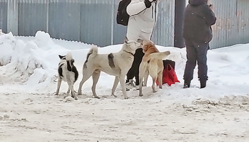 Ryb_08.02.2024-5.jpg
