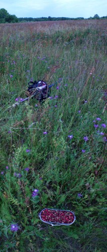 Les_10072012-3.jpg