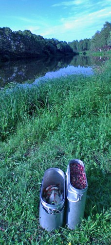Les_12072012-1.jpg