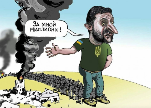 Зеля_даш.jpeg