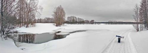 Ryb_20.02.2024-2.jpg