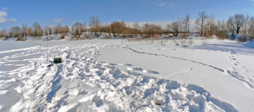 Ryb_20.02.2024-5.jpg