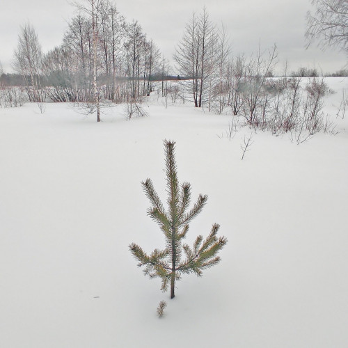 Ryb_24.02.2024-2.jpg