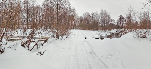 Ryb_24.02.2024-4.jpg