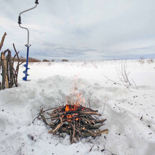 Ryb_26.02.2024-2.jpg