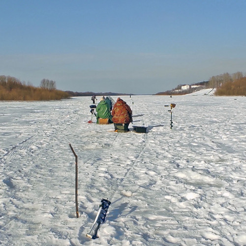 Ryb_01.03.2024-1.jpg