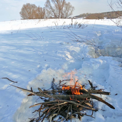 Ryb_01.03.2024-2.jpg