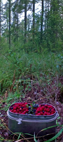 Les_20072012-1.jpg