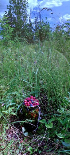 Les_22072012-1.jpg