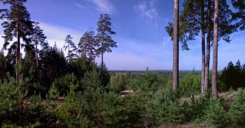 Les_22072012-3.jpg