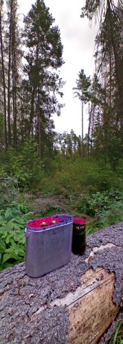 Les_24072012-2.jpg