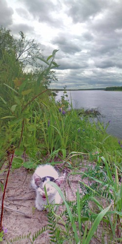 Les_25072012-4.jpg