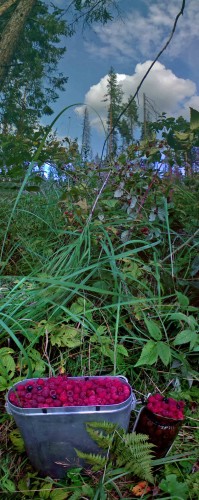Les_26072012-2.jpg