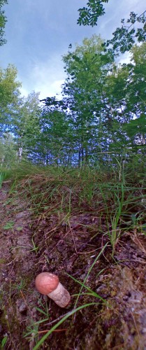Les_26072012-4.jpg