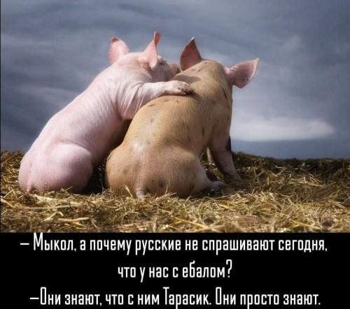 2024-03-25_13-24-03.jpg