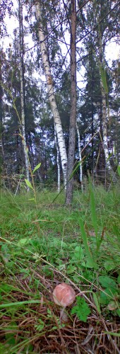 Les_27072012-2.jpg