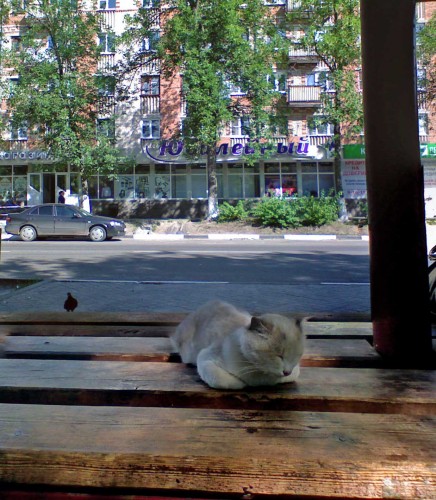 Les_30072012-4.jpg