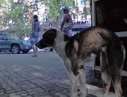 Les_03082012-2.jpg