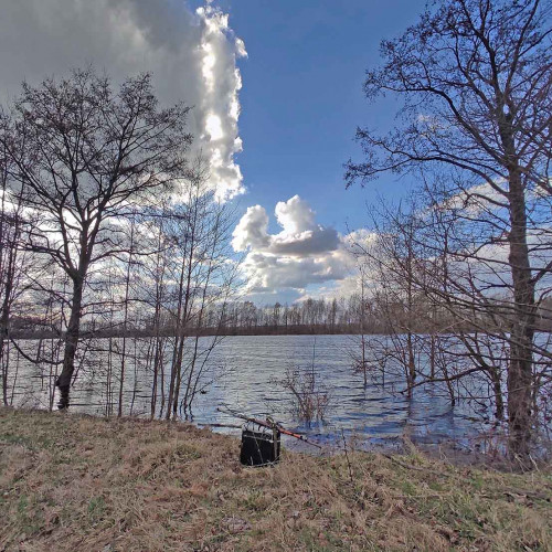 Ryb_15.04.2024-2.jpg