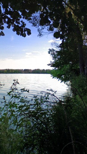 Les_06082012-1.jpg
