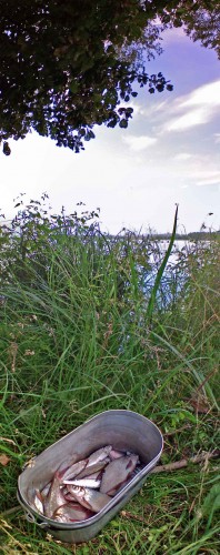 Les_06082012-2.jpg