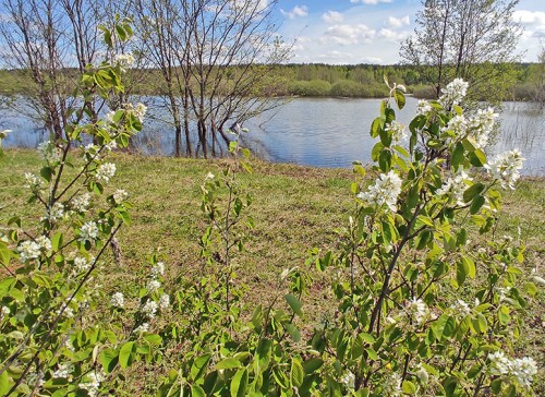 Ryb_28.04.2024-2.jpg