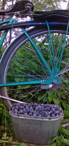 Les_13082012-2.jpg