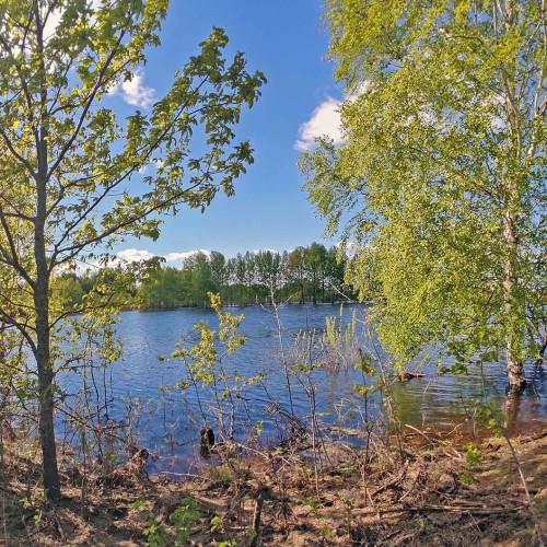 Ryb_03.05.2024-1.jpg