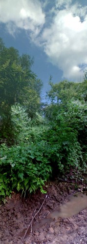 Les_17082012-1.jpg