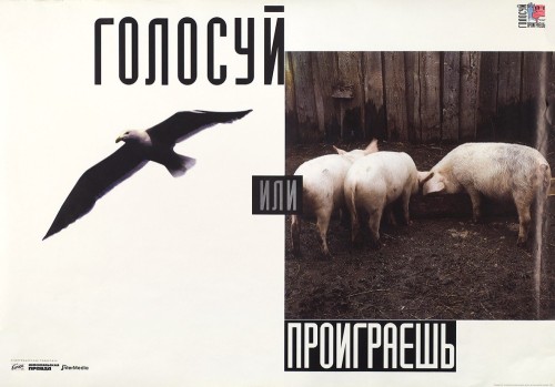 16466558_1vy.jpg