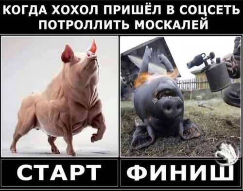 2024-07-12_15-04-35.jpg