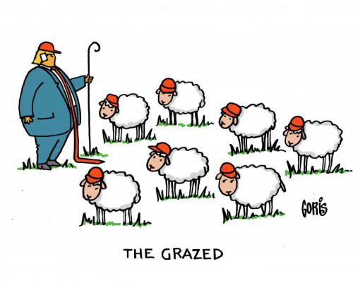 Trump grazing sheep.jpeg