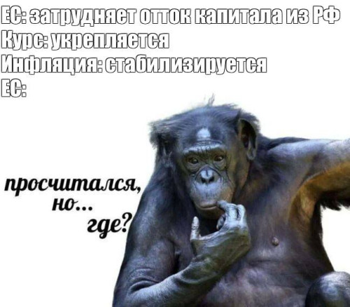 2023-11-26_07-05-59.jpg