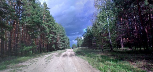 Les_24082012-2.jpg