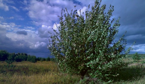 Les_24082012-3.jpg