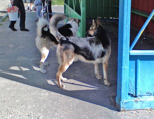 Les_24082012-7.jpg