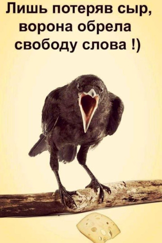 2024-08-11_11-44-41.jpg