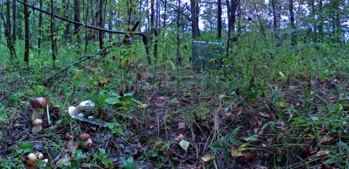 Les_29082012-4.jpg
