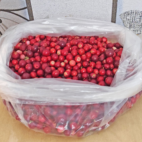 Les_22.08.2024-3.jpg
