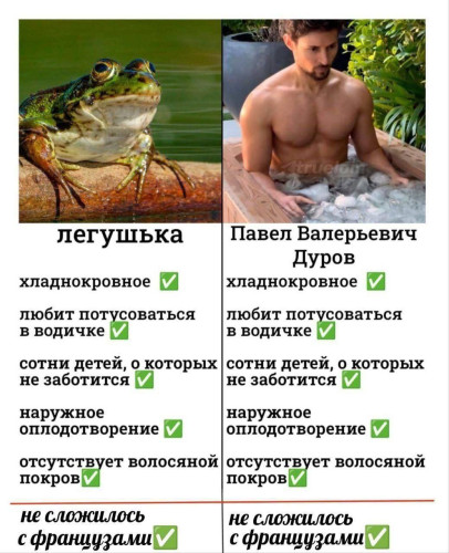 2024-08-26_21-49-19.jpg