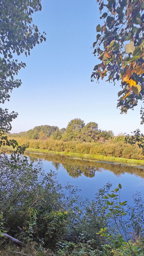 Les_30.08.2024-3.jpg