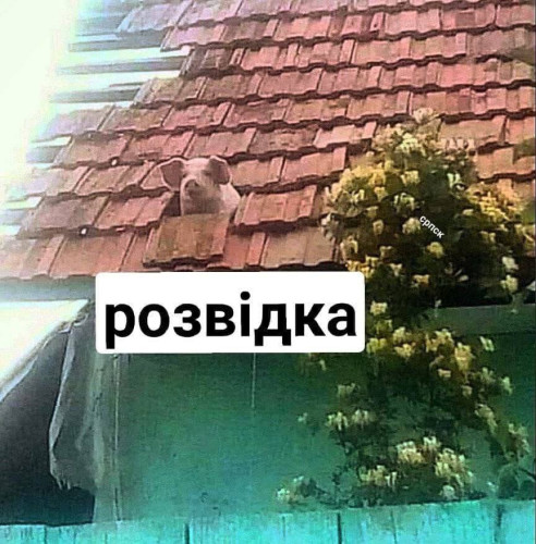 2024-09-06_12-27-31.jpg