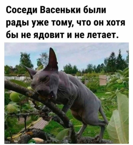 2024-09-06_17-19-52.jpg