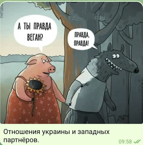 2024-08-30_12-05-37.jpg
