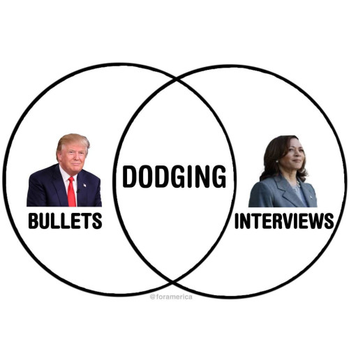 2024-09-16_10-23-18.jpg