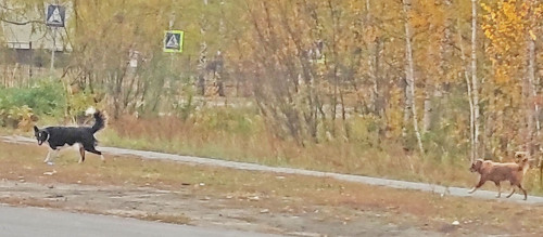 Les_06.10.2024-5.jpg