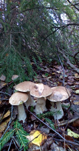 Les_31082012-3.jpg