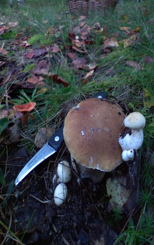 Les_31082012-2.jpg