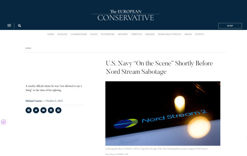 uropeanconservative_com-2024_10_10-11_45_34.jpeg