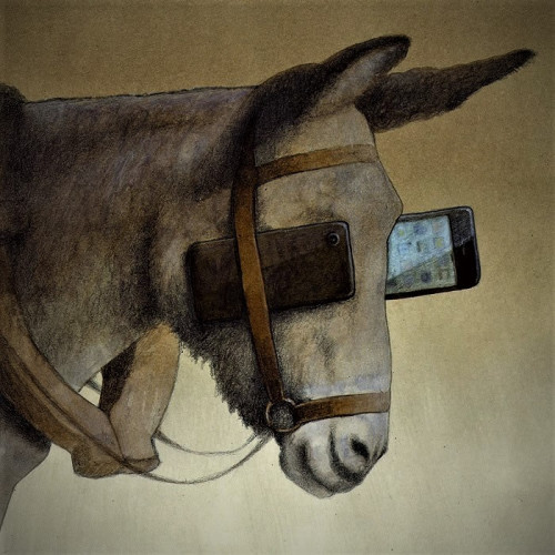 pawel-kuczynski25.jpg